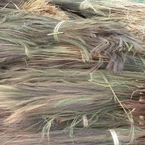 Broom grass